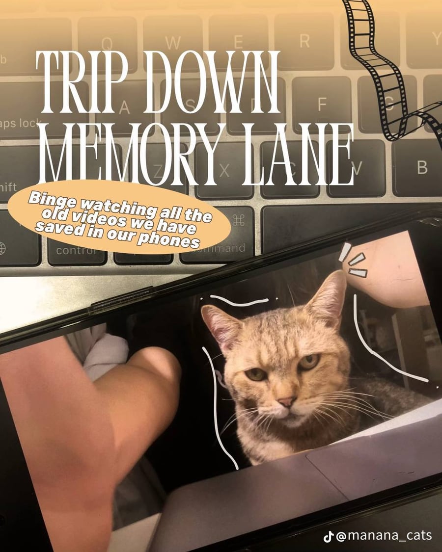 MANANA cat post